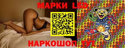 стафф Донецк