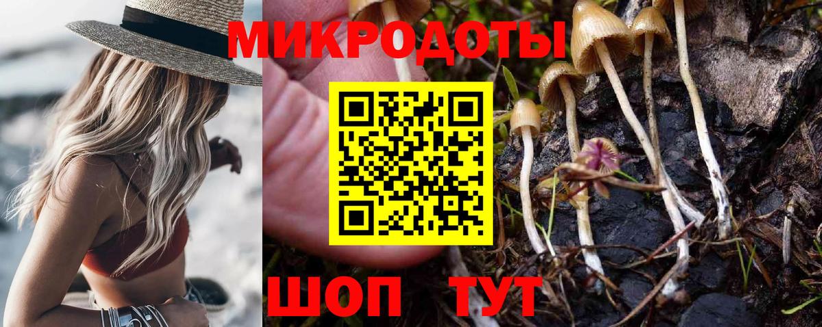 Галлюциногенные грибы MAGIC MUSHROOMS Малоярославец