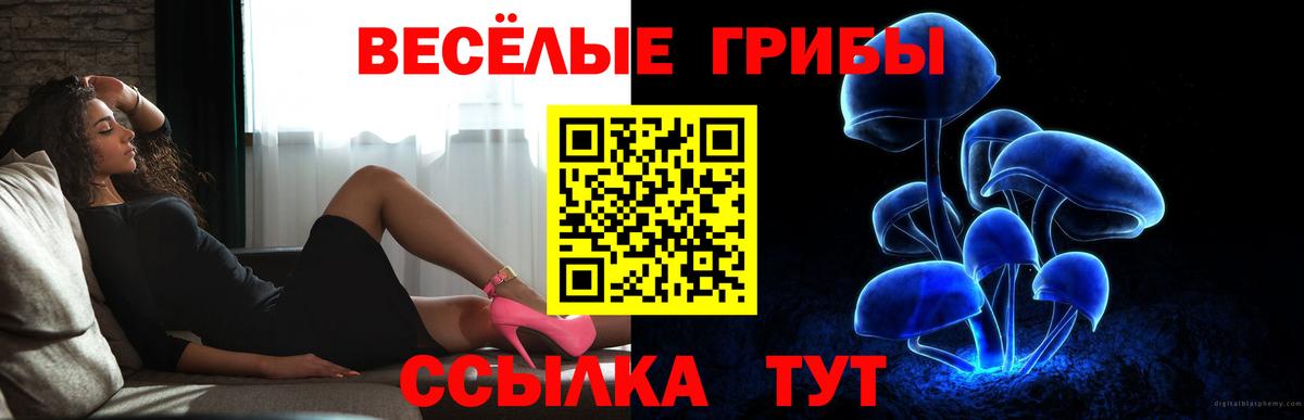 Малоярославец  Псилоцибиновые грибы прущие грибы  наркота  Вход с VPN 